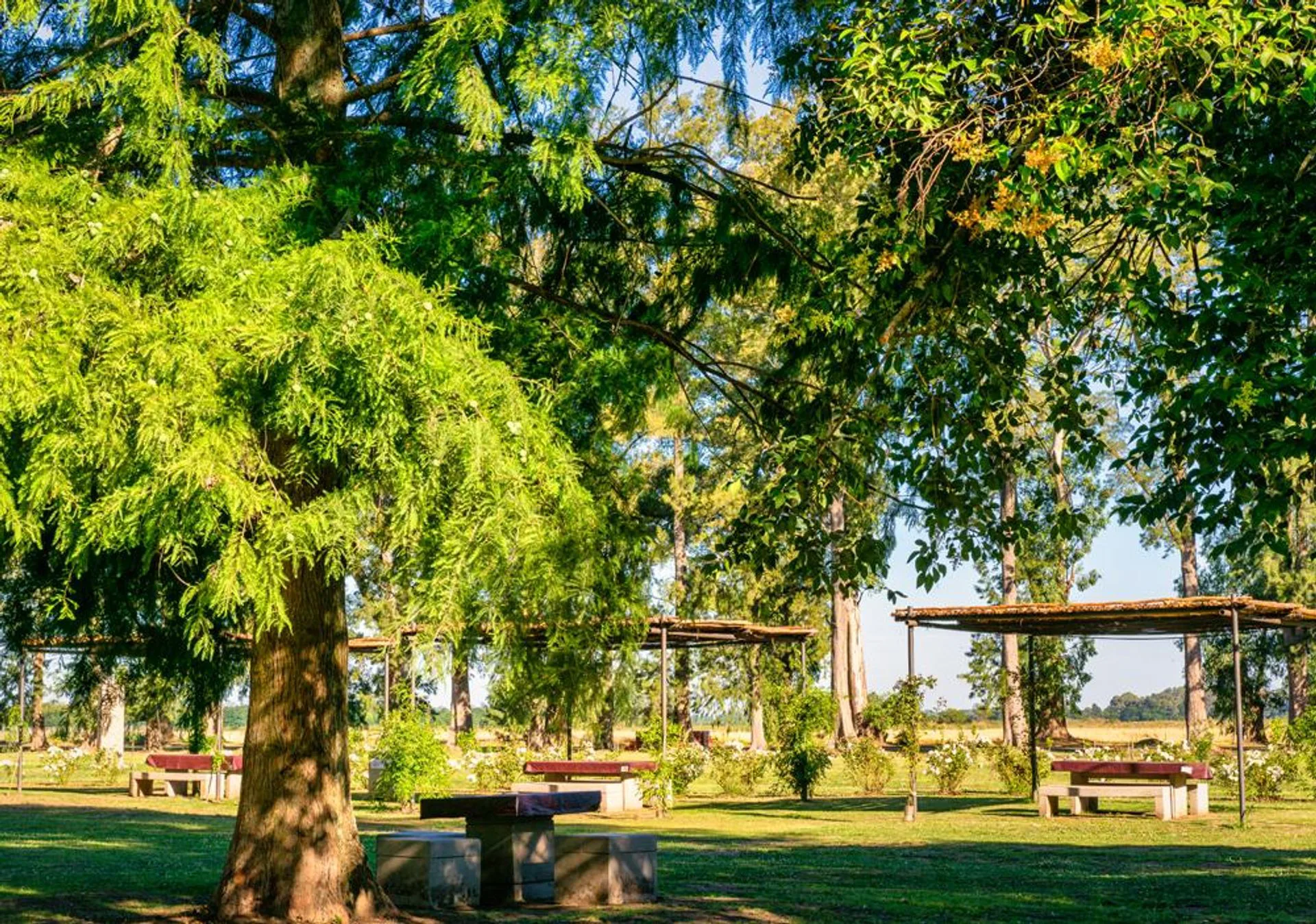 Terreno Lote en venta, Tres Pinos Villa De Campo foto 5
