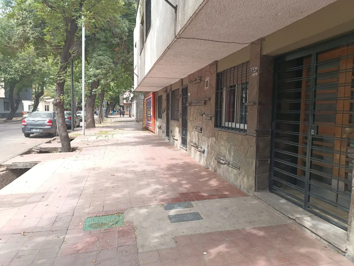 DEPARTAMENTO PB 3 DORM. CENTRO, FEDERICO MORENO foto 5