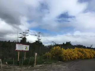 Lote en Tres Cerros Ruta 40 (Av. Siete Lagos)  1175 m2 foto 5