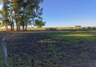 CAMPO en Venta en Punta Indio 170 hectáreas foto 4