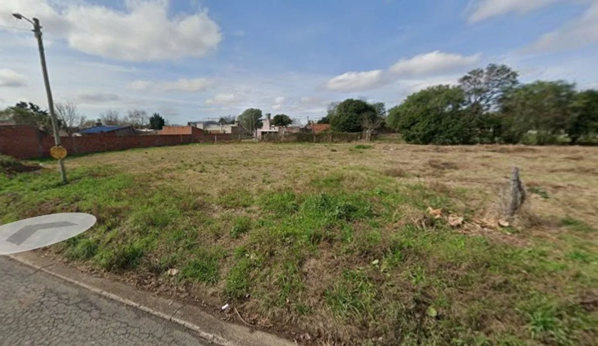 Gran lote 300 m2 bien ubicado, Colonia Avellaneda foto 4