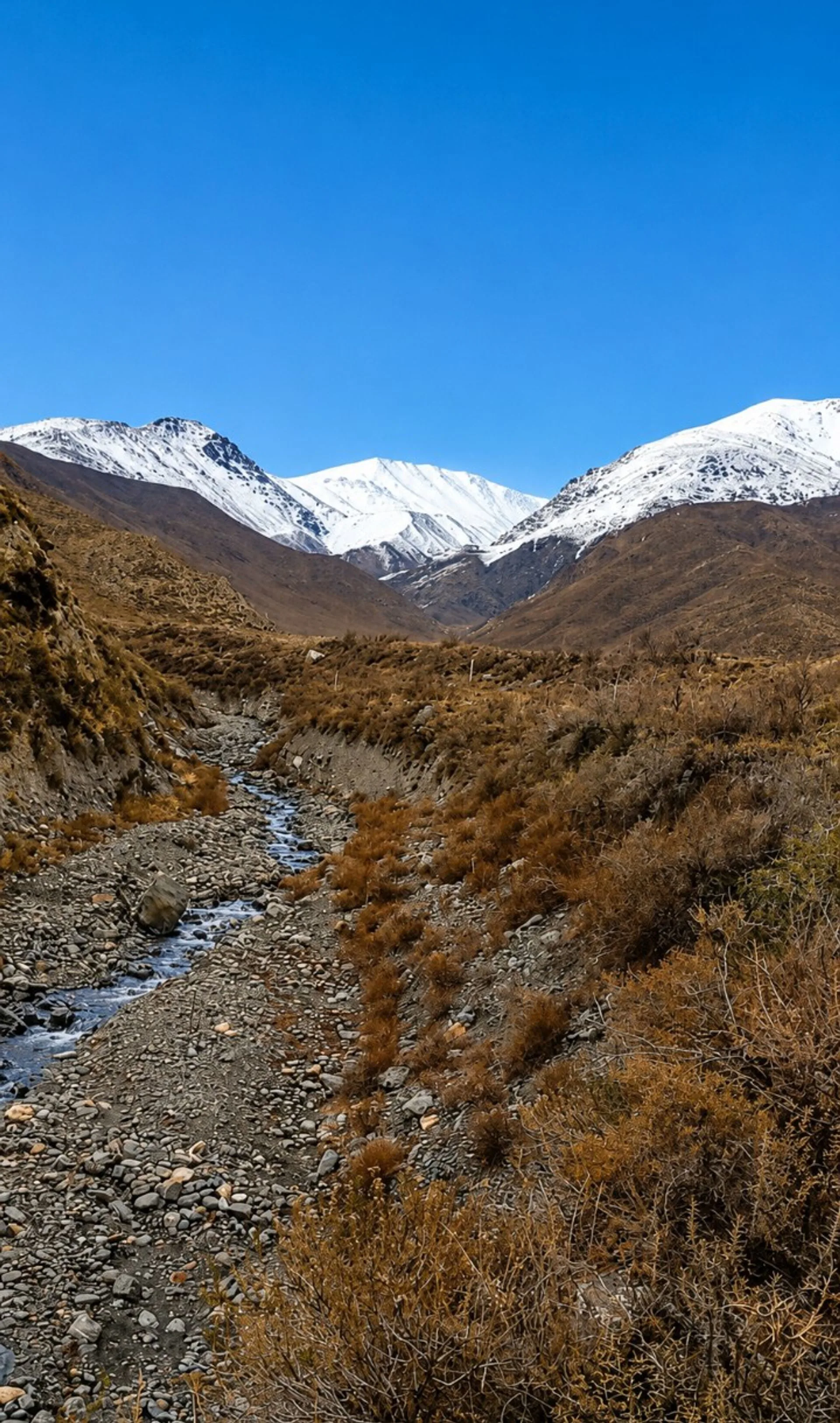 Lote 3.5Ha Piedra Blanca Vallecitos/A° Las Mulas
