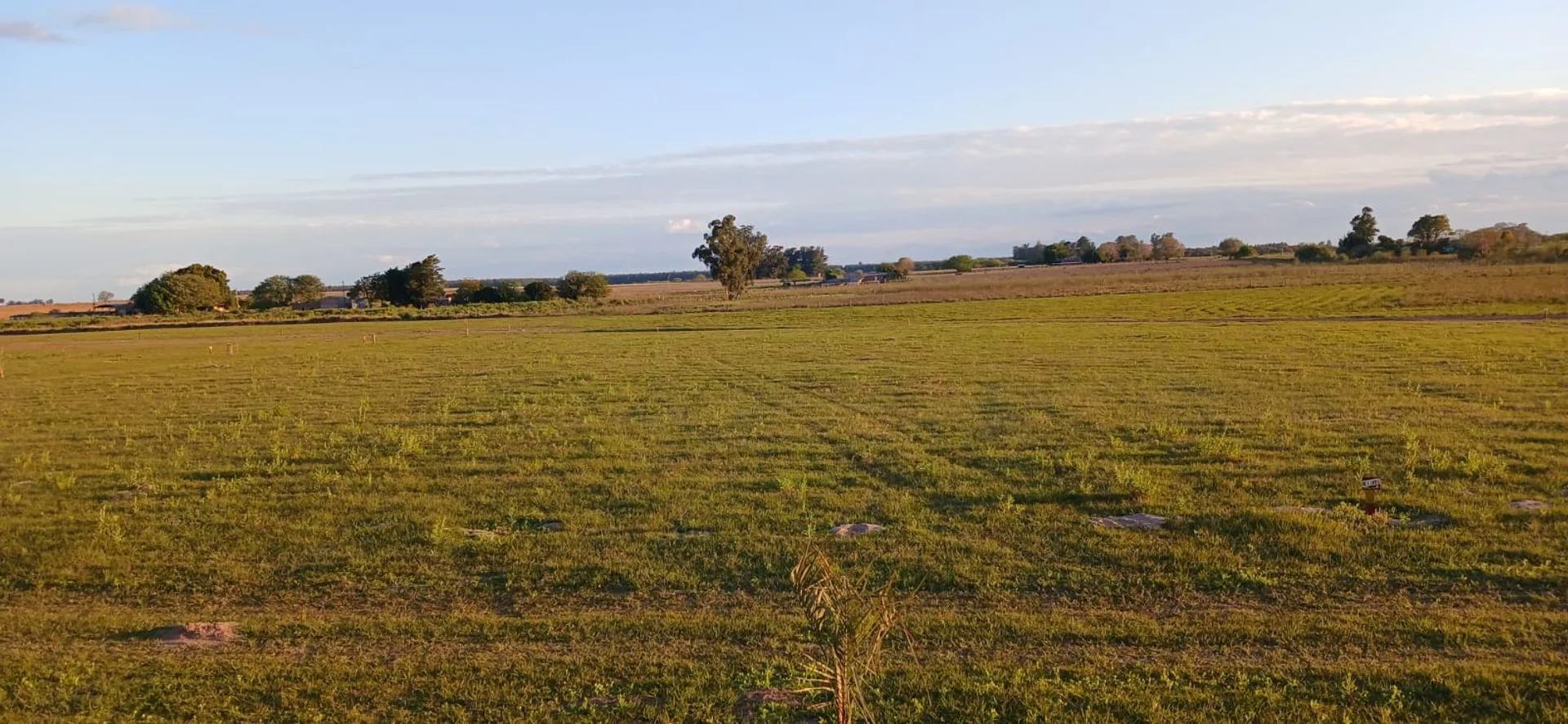LOTES EN VENTA SOBRE RUTA 12 GOYA CTES foto 4