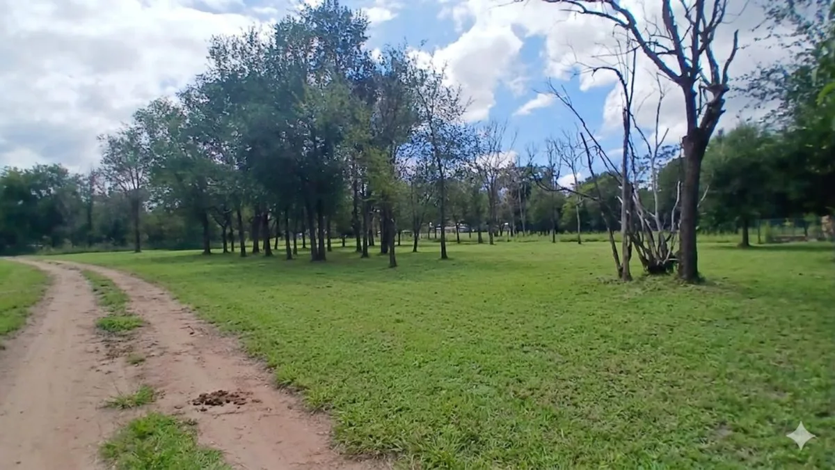SE VENDE TERRENO DE 404 M2 EN CERRO DE ORO foto 4