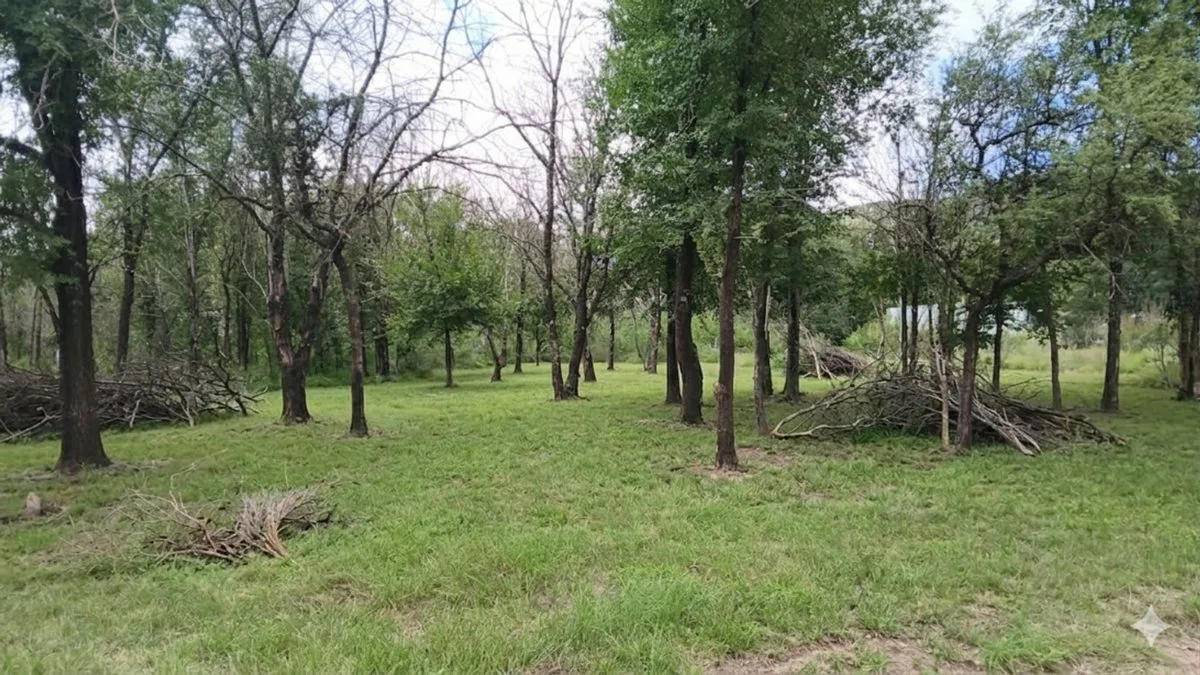 SE VENDE TERRENO DE 404 M2 EN CERRO DE ORO foto 5