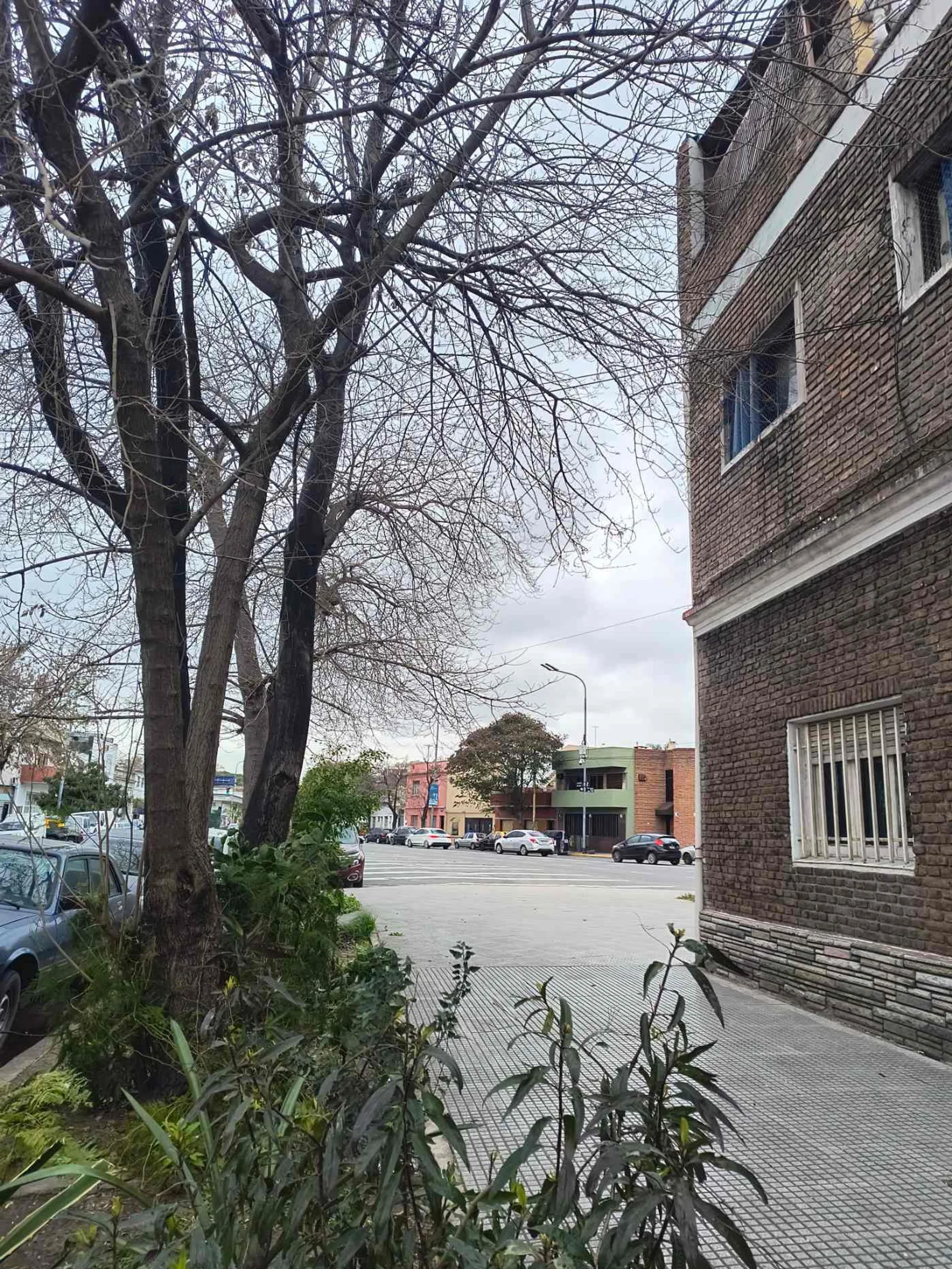 LOTE EN VENTA EN ESQUINA FLORES OPORTUNIDAD foto 2