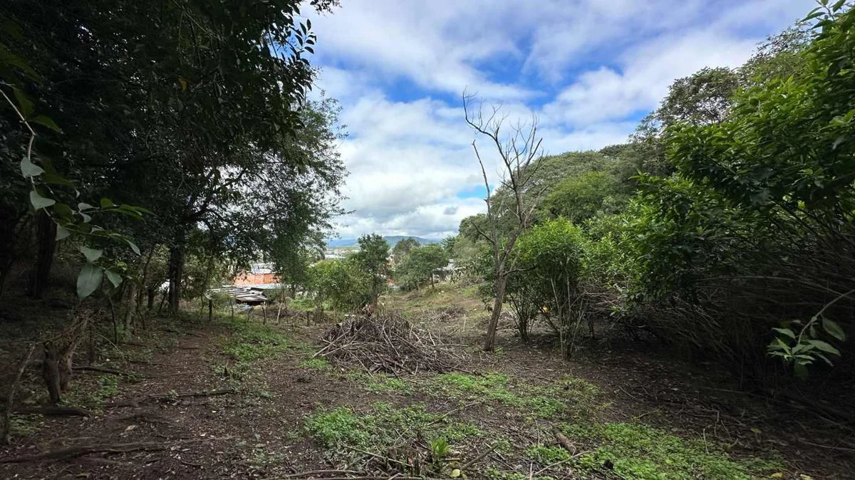VENTA TERRENO 1187 M2 CHIJRA foto 3