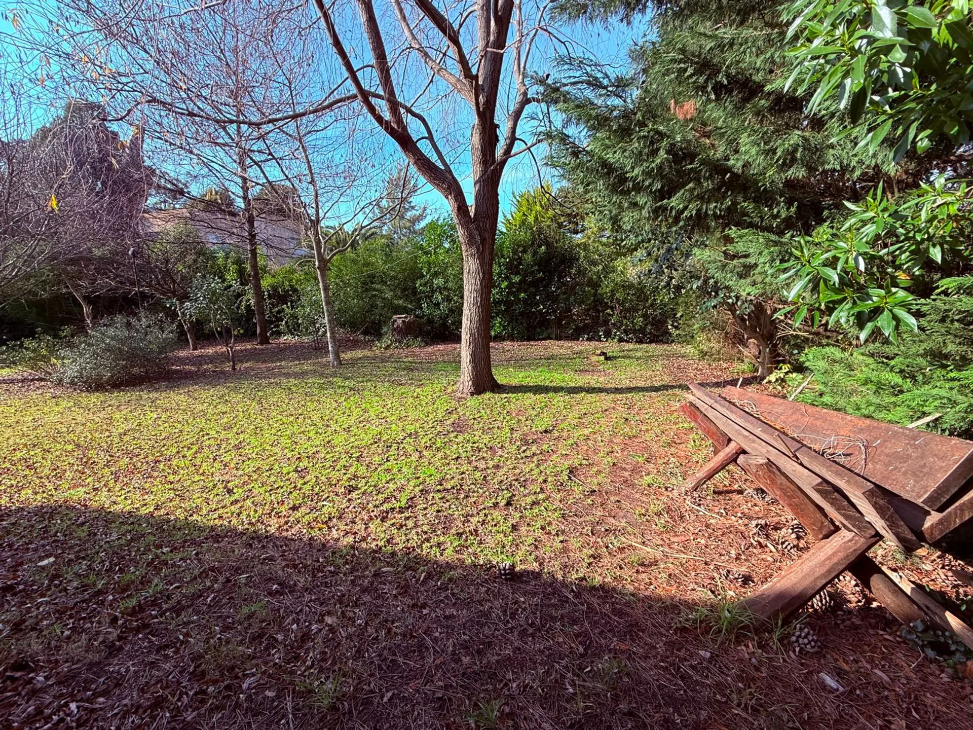 Lote de 405m2 en los Acantilados foto 2