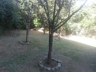 Excelente Propiedad Benavidez Av. Juan D. Perón  - 5 Dúplex para alquiler (alquilados en este momento) - en 2 Plantas - excelente ubicación - fácil ac foto 5