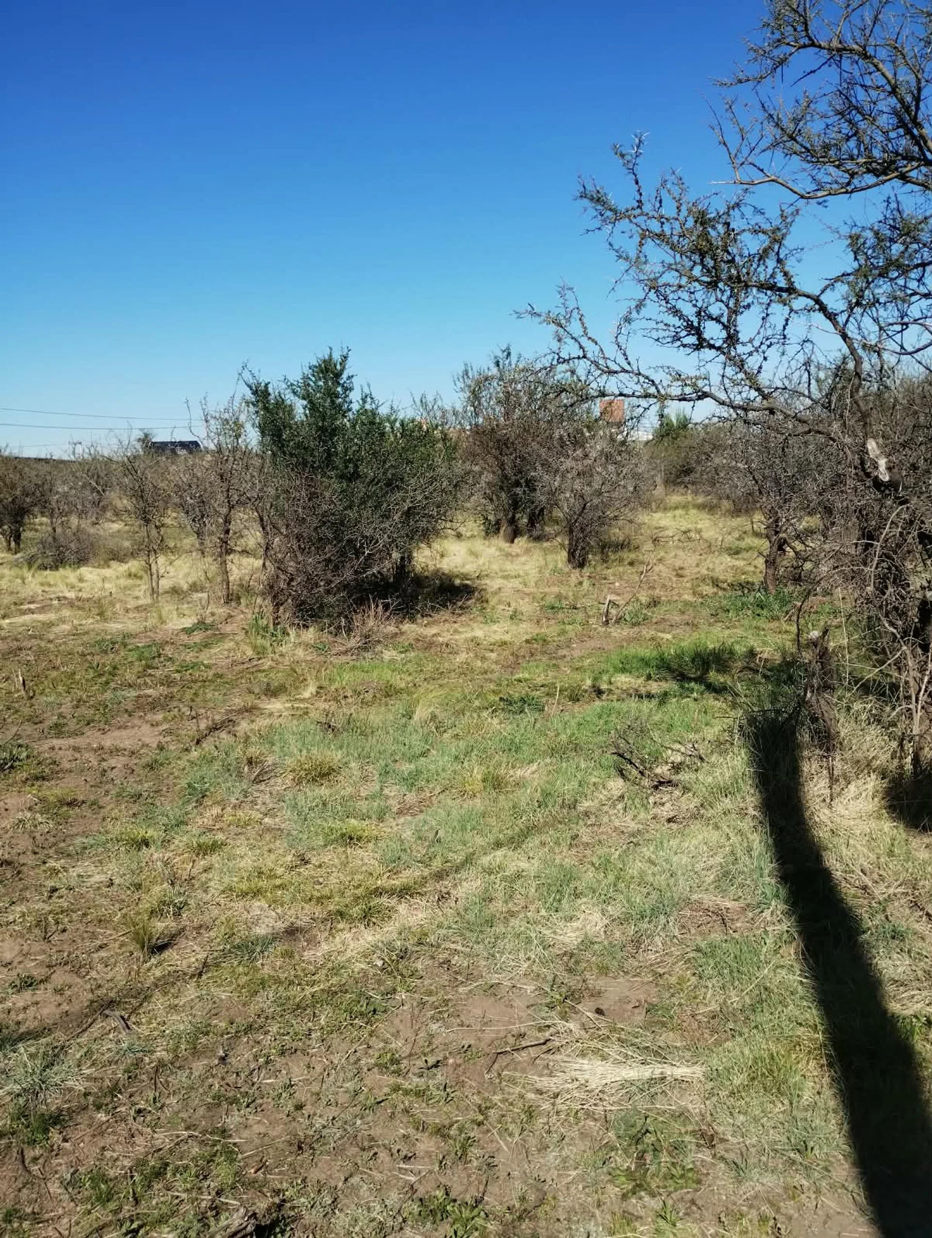 EXCELENTE LOTE EN ¨PUEBLO MIO¨ V. LARCA foto 5