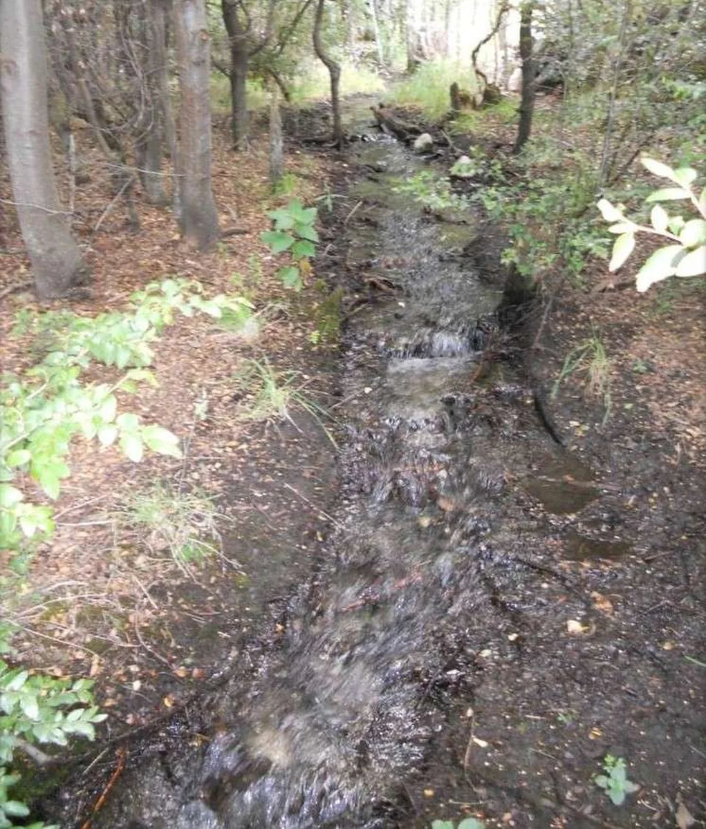 Huemul - Ruta 40 foto 2