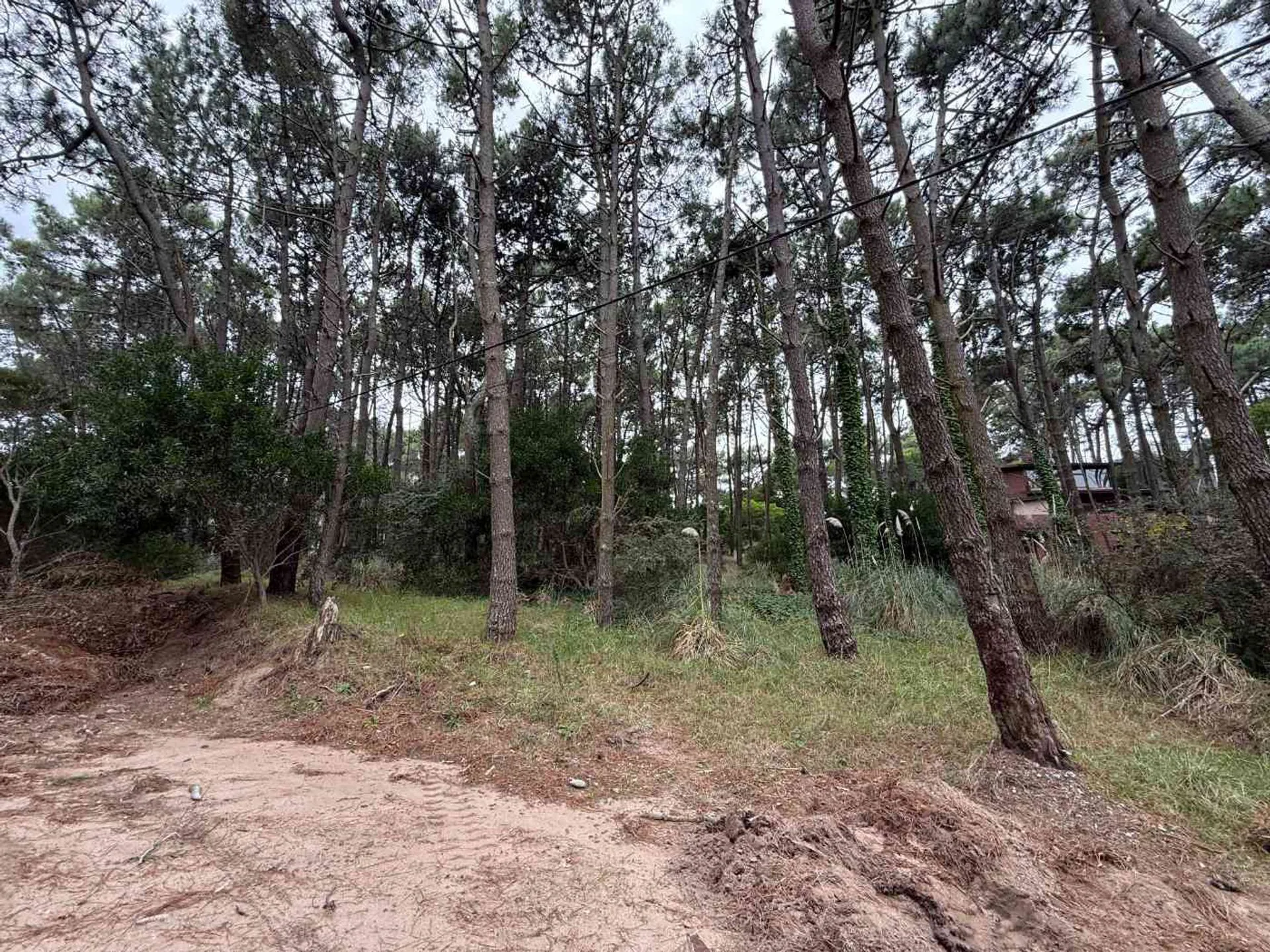 Venta lote Multifamiliar en Mar de las Pampas