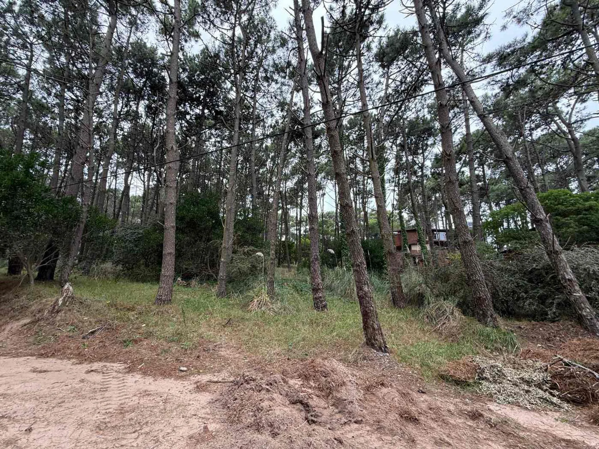 Venta lote Multifamiliar en Mar de las Pampas foto 3