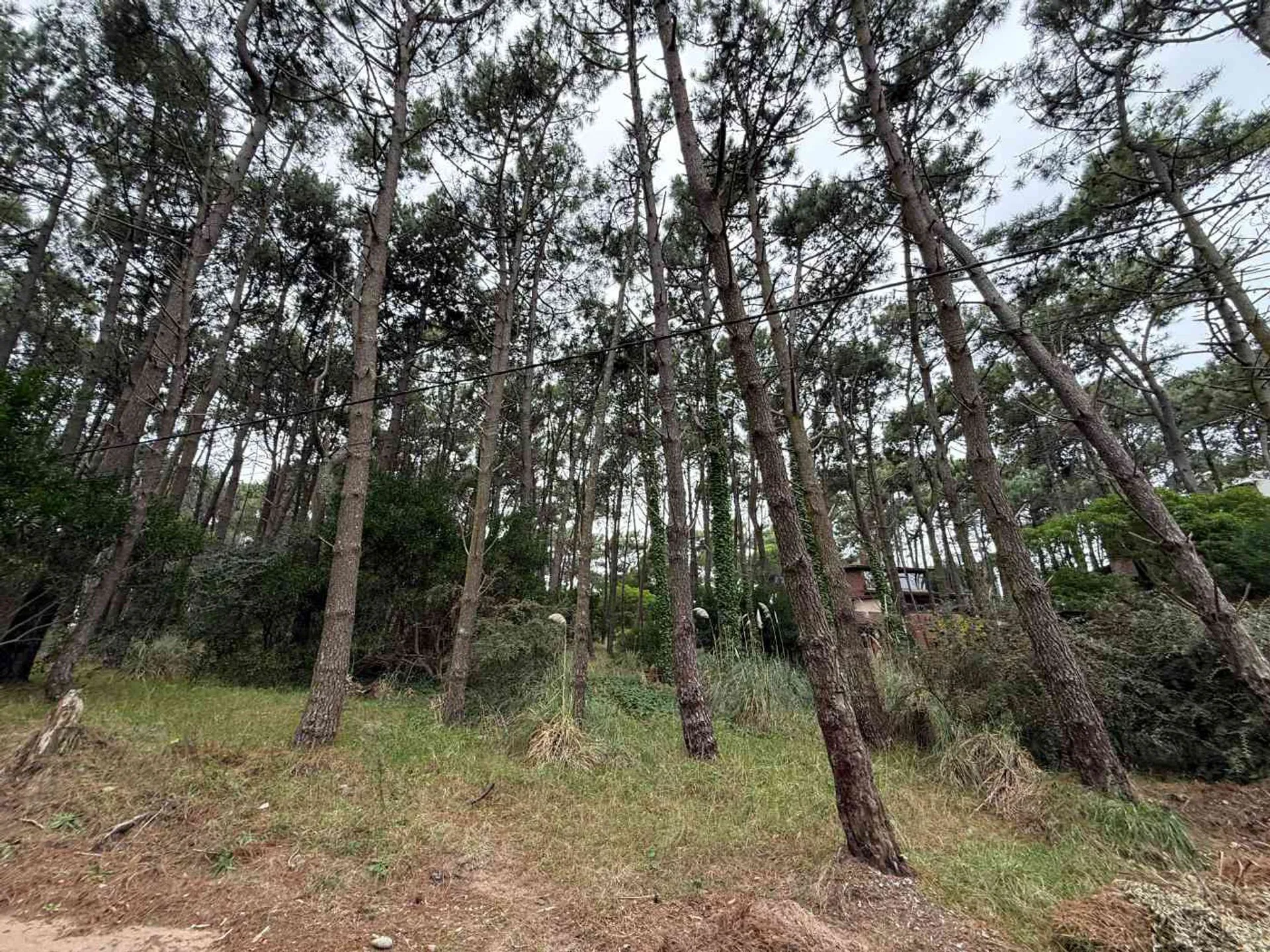 Venta lote Multifamiliar en Mar de las Pampas foto 4