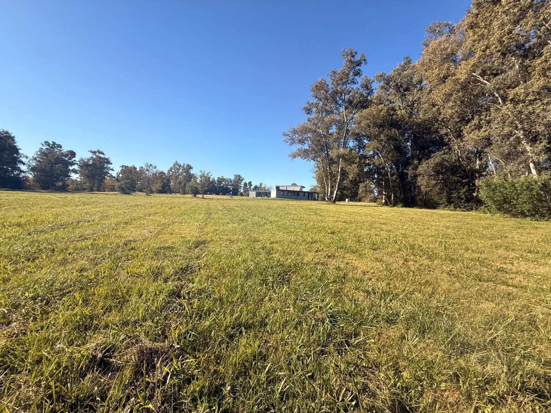 VENTA LOTE PINARES ETAPA 1 EXALTACIÓN DE LA CRUZ foto 5