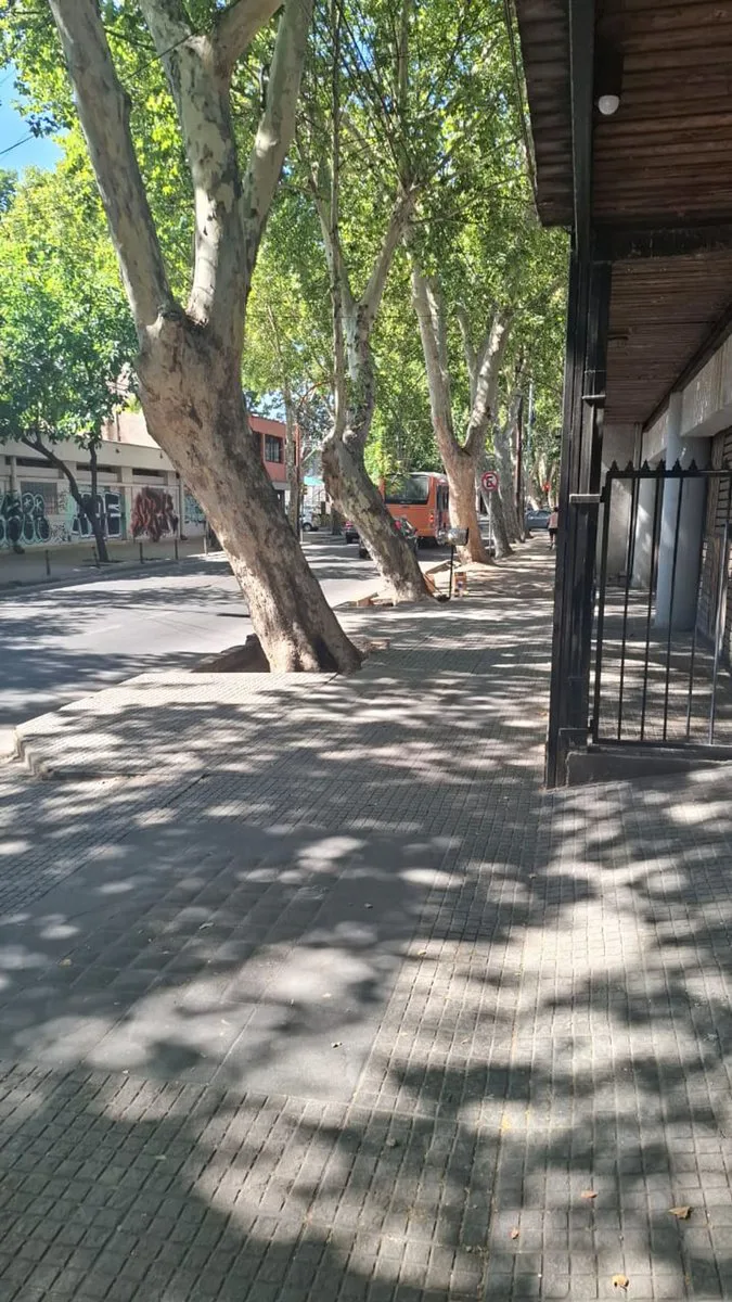 Cochera ciudad de Mendoza foto 5