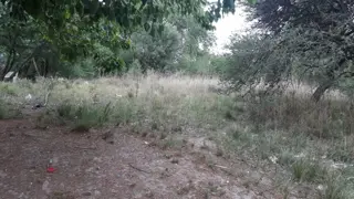 N°REF 1248- DOS PROPIEDADES SOBRE INCREÍBLE TERRENO DE 3300M2 UBICADO EN COSQUÍN A 150 M DE LA RUTA 38 Y A 8 CUADRAS DEL RIO COSQUIN. foto 4