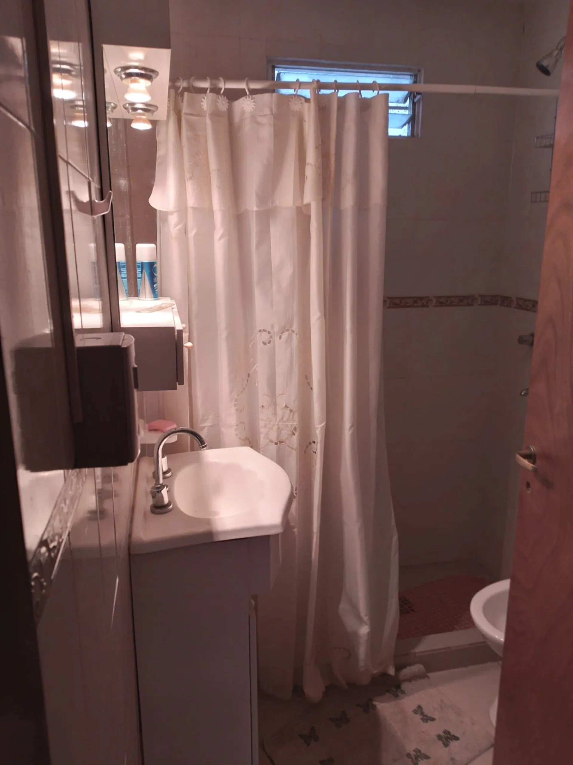EN VENTA CASA MAS MONOAMBIENTE EN CURA BROCHERO foto 5