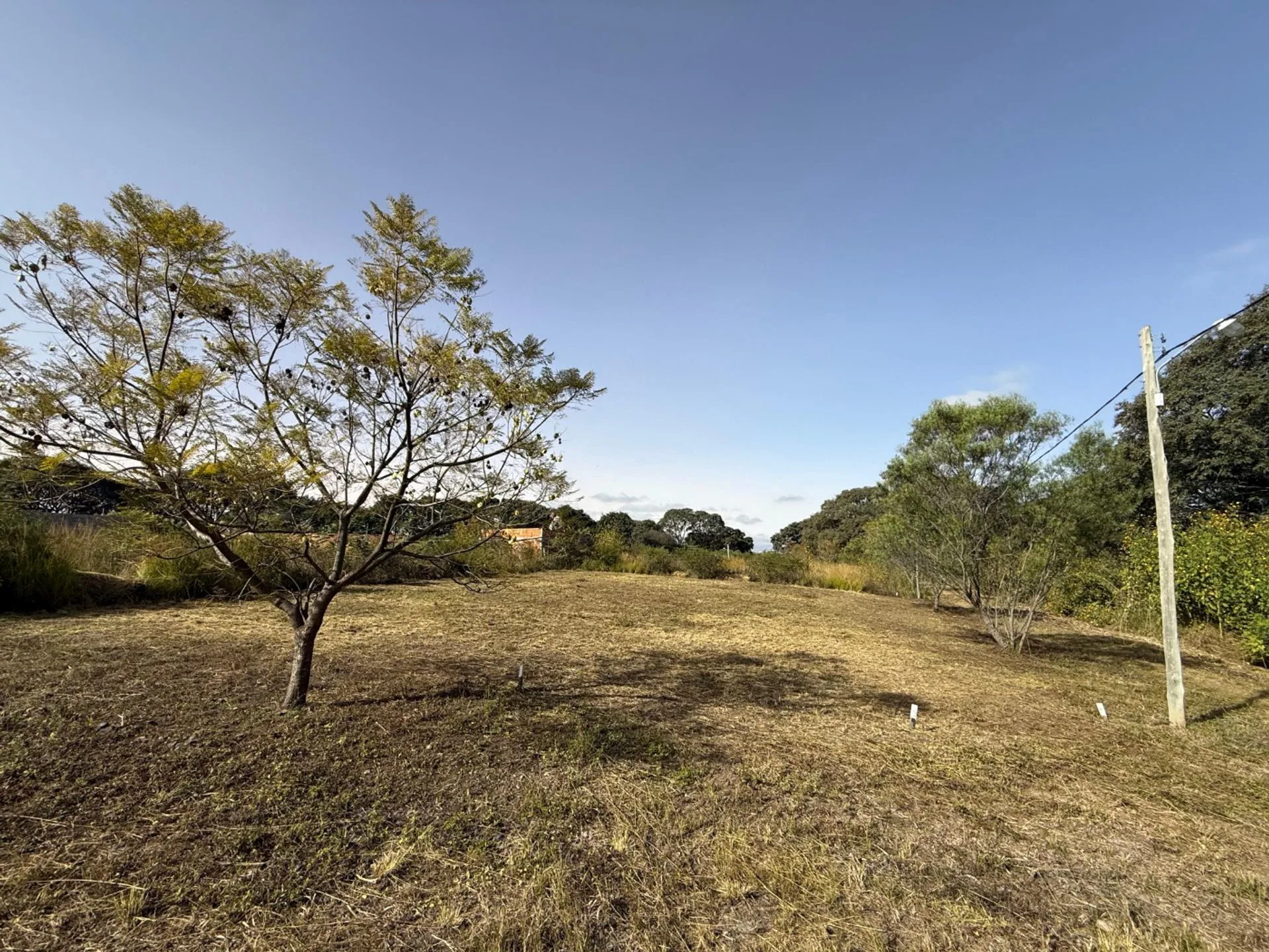VENTA TERRENO ESQUINA 314,40m2 B° NUEVO ALISOS foto 2