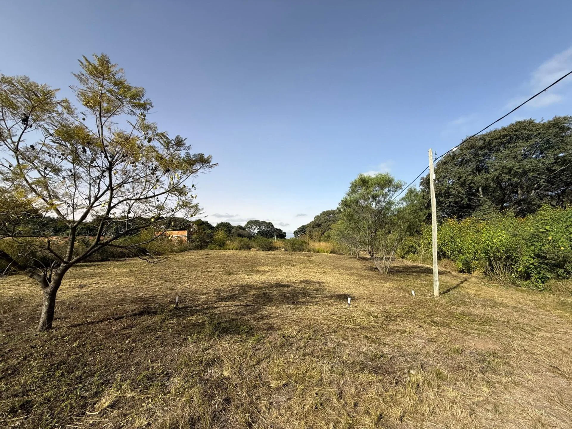 VENTA TERRENO ESQUINA 314,40m2 B° NUEVO ALISOS foto 3