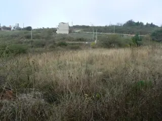 VENDO TERRENO CON DOS CABAÑAS A TERMINAR foto 3