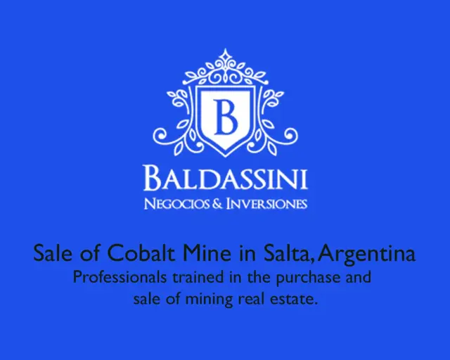 MINA DE COBALTO EN SALTA - MENSURADA + Manganeso, Zinc, Arsénico y Bario