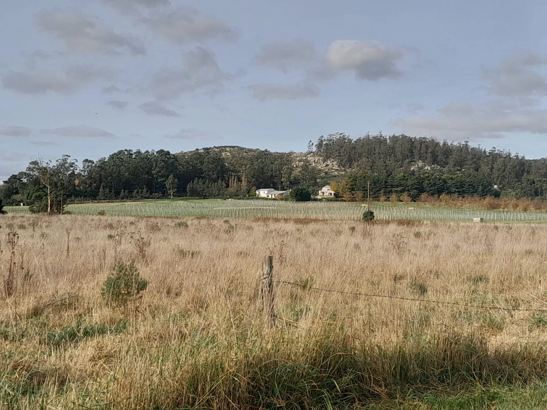 2 LOTES EN BLOK EN VENTA EN LOS PINOS, BALCARCE