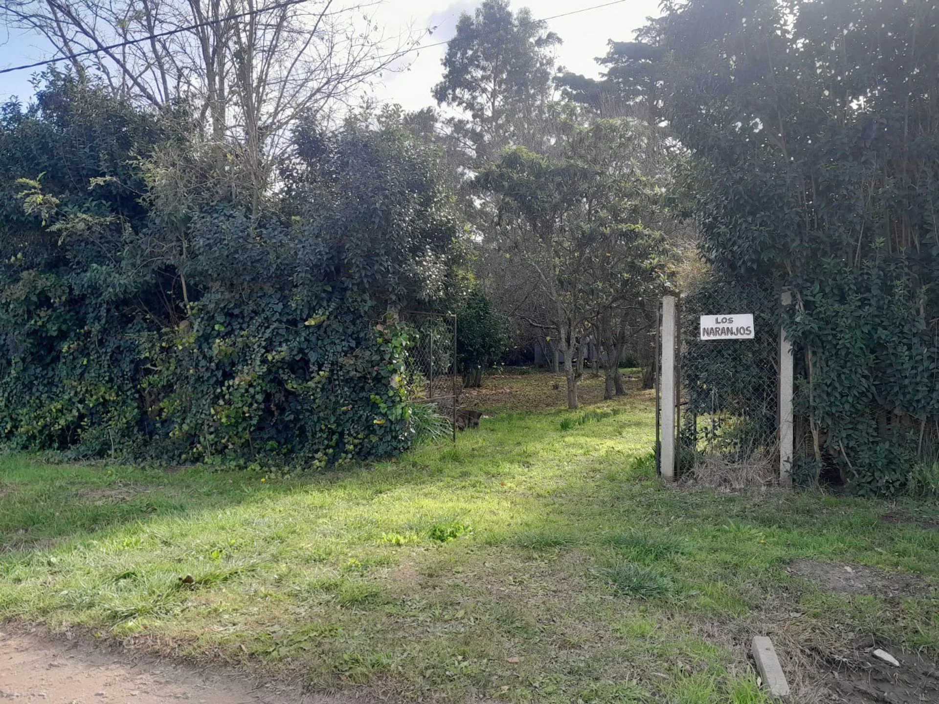 2 LOTES EN BLOK EN VENTA EN LOS PINOS, BALCARCE foto 2