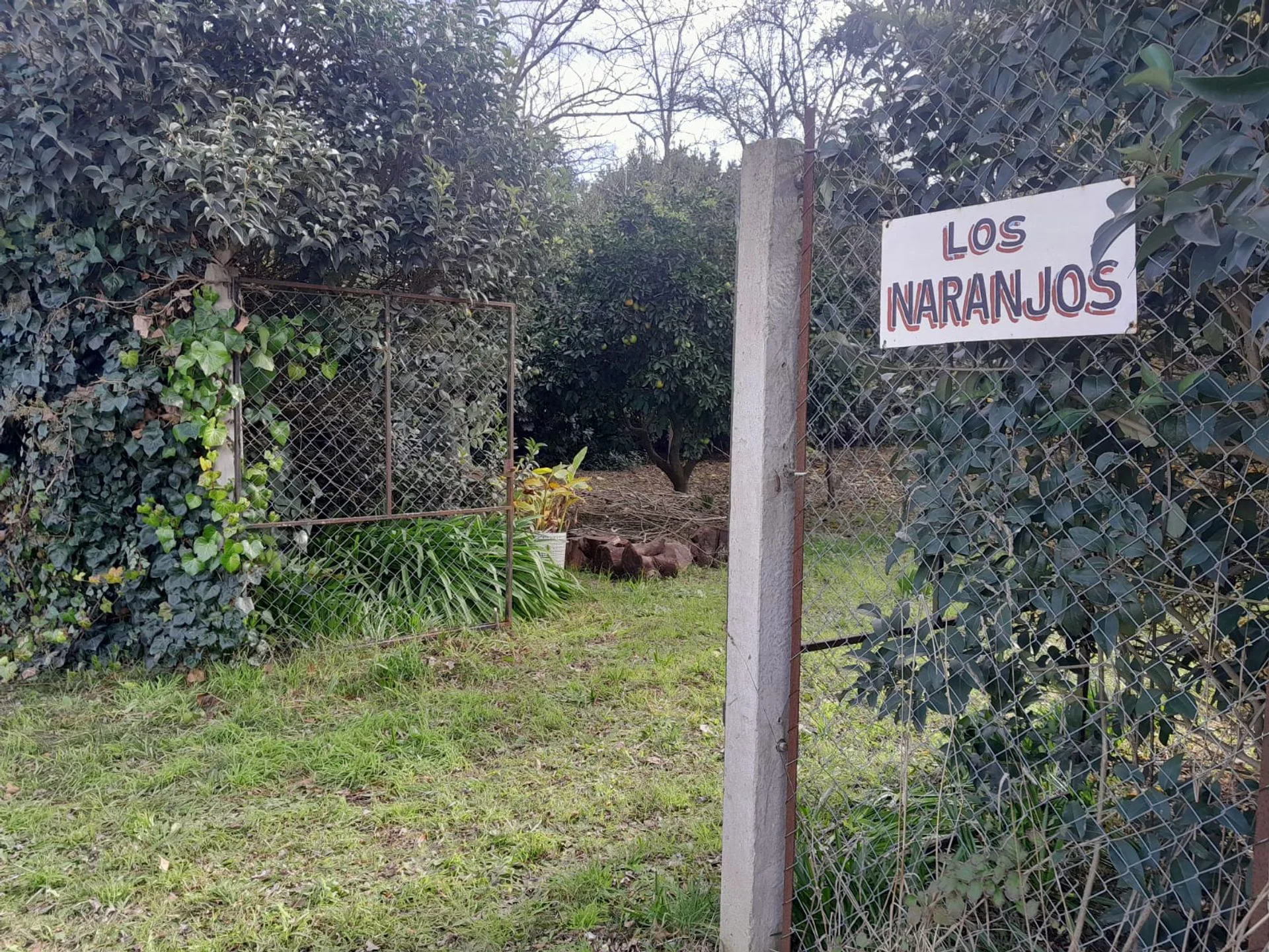2 LOTES EN BLOK EN VENTA EN LOS PINOS, BALCARCE foto 3