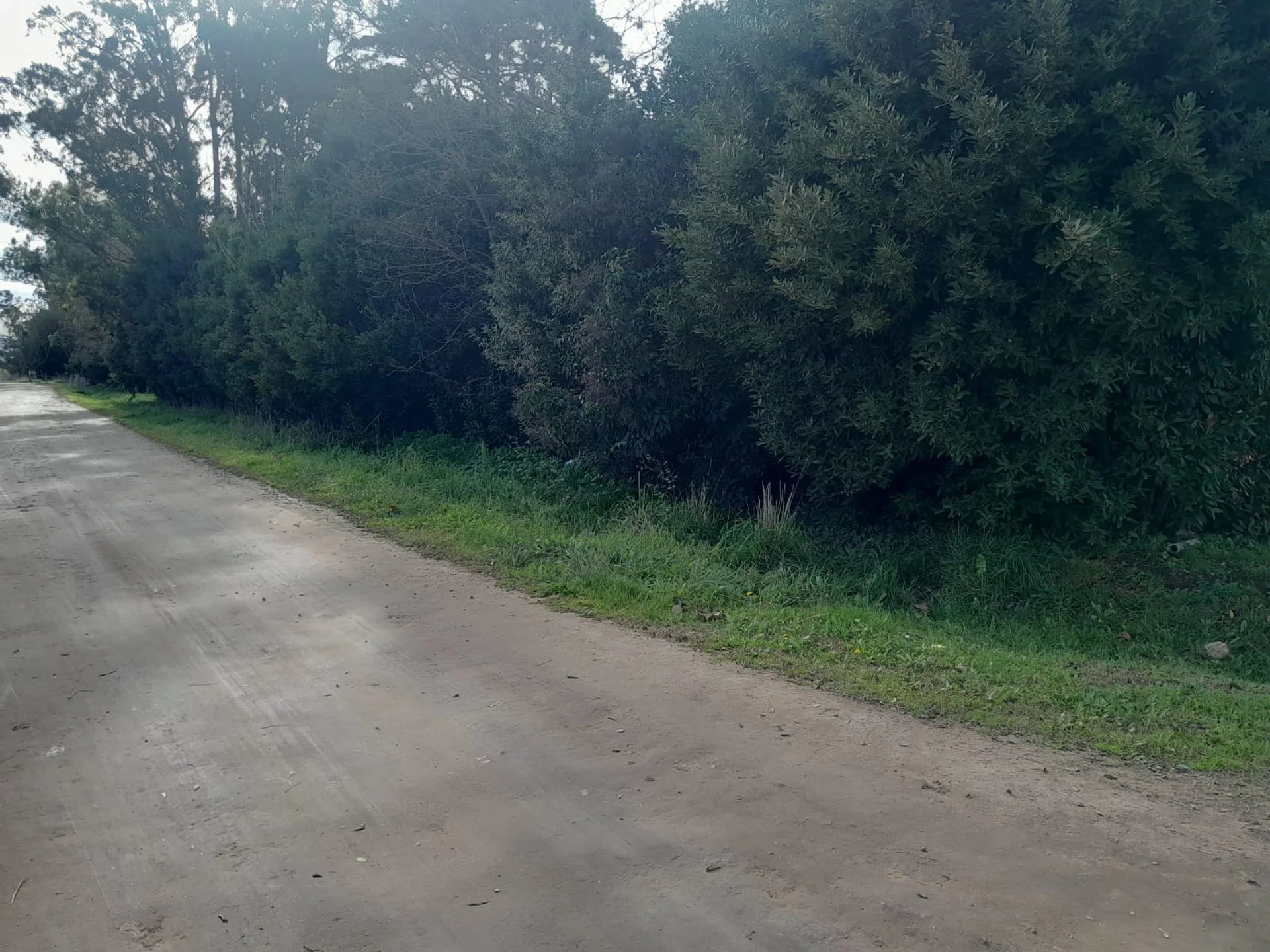 2 LOTES EN BLOK EN VENTA EN LOS PINOS, BALCARCE foto 4