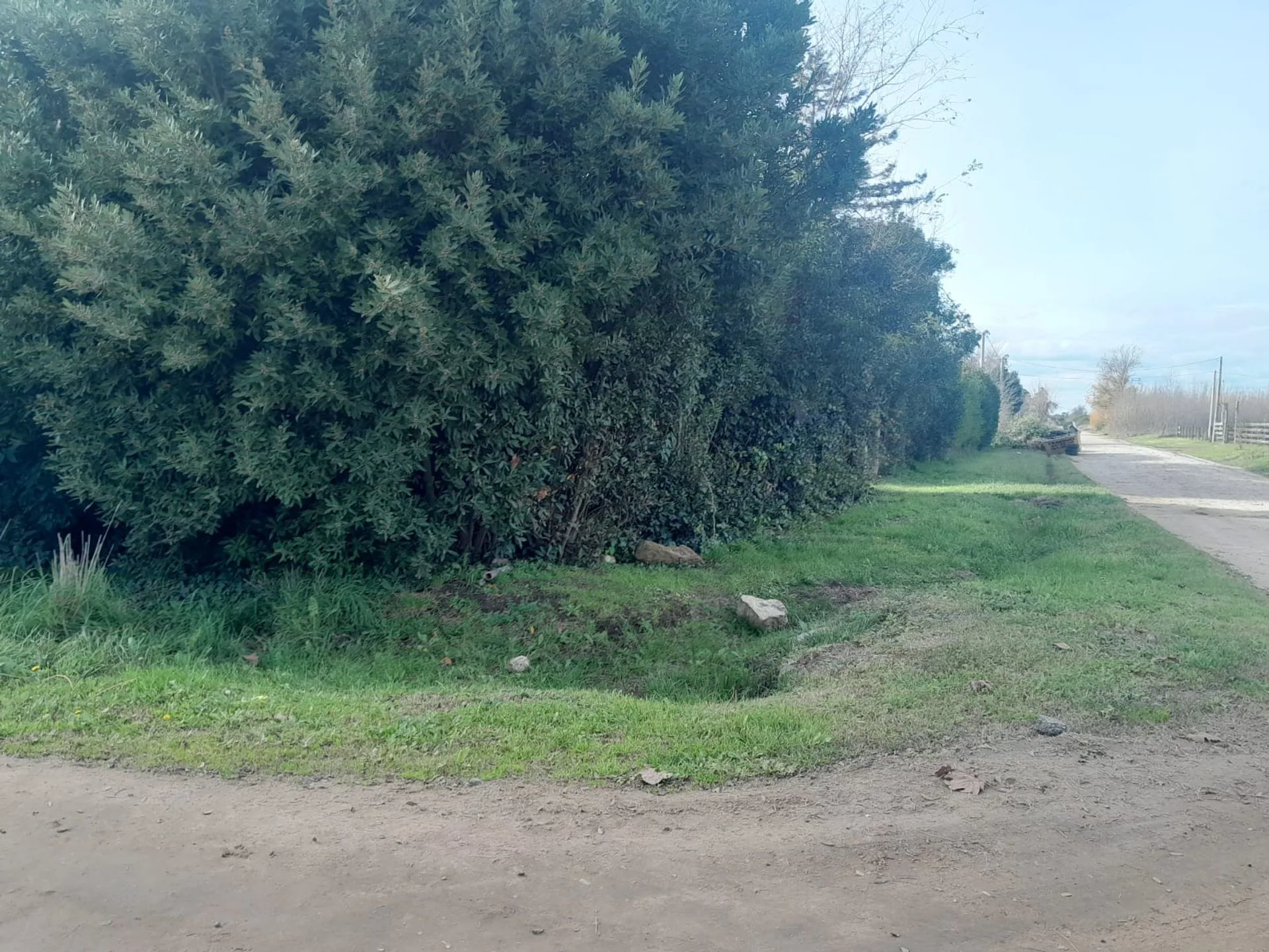 2 LOTES EN BLOK EN VENTA EN LOS PINOS, BALCARCE foto 5