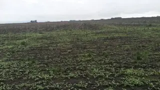 EXCELENTE CAMPO foto 1