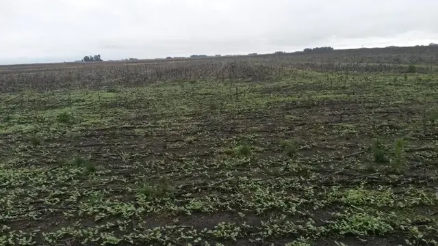 EXCELENTE CAMPO