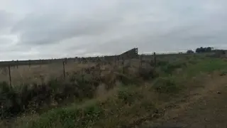 EXCELENTE CAMPO foto 2