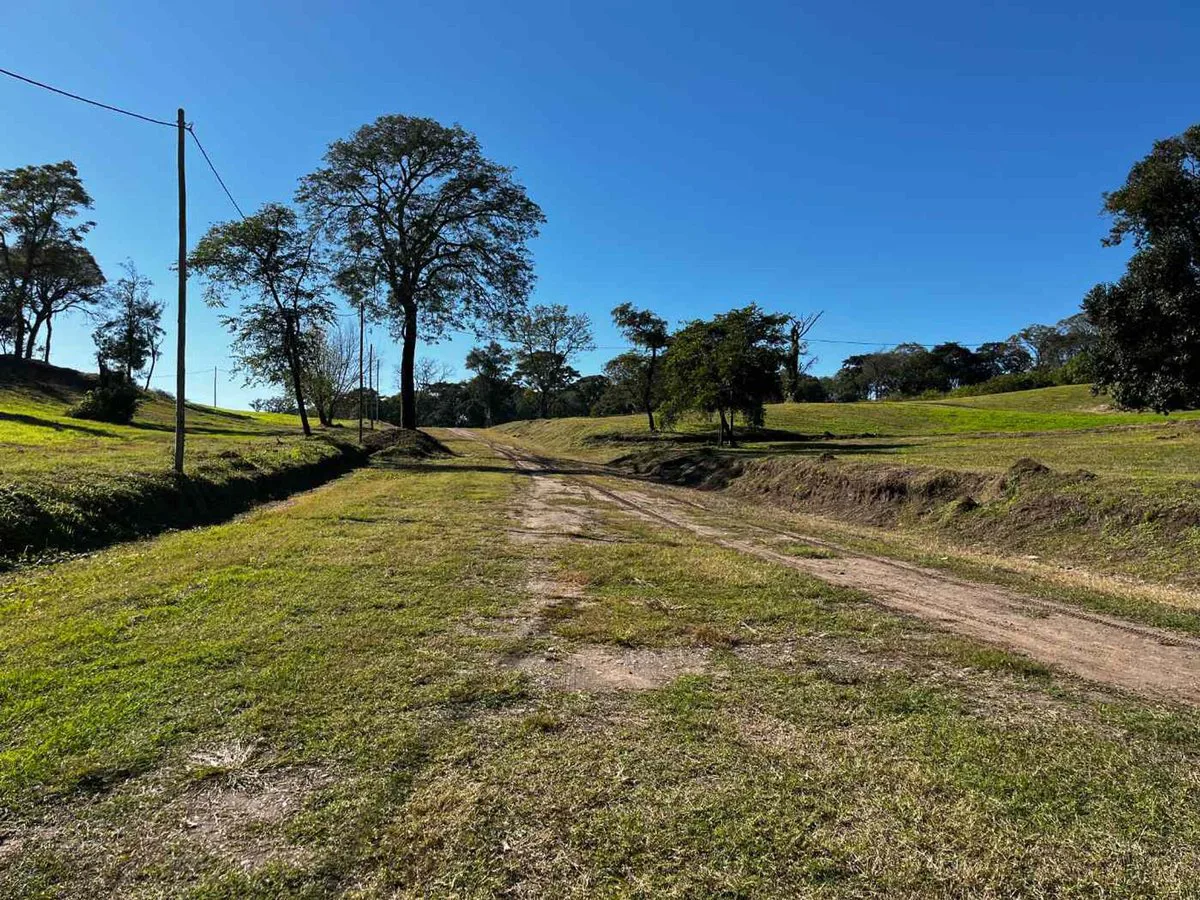 LOTE DE 481 M2 EN VENTA EN COUNTRY LA CANDELARIA foto 2
