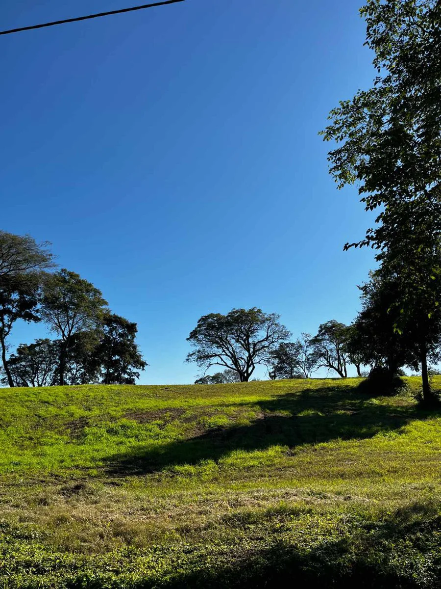 LOTE DE 481 M2 EN VENTA EN COUNTRY LA CANDELARIA foto 4