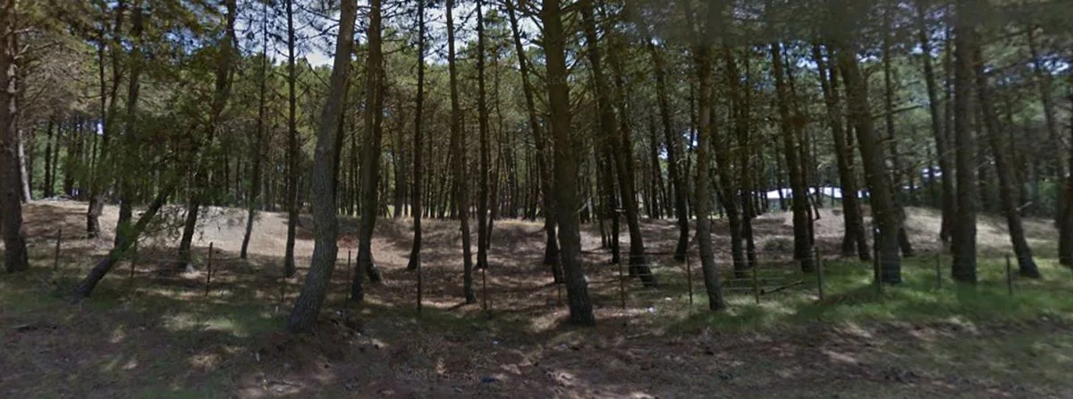 Venta de Lote en el norte de Pinamar foto 2
