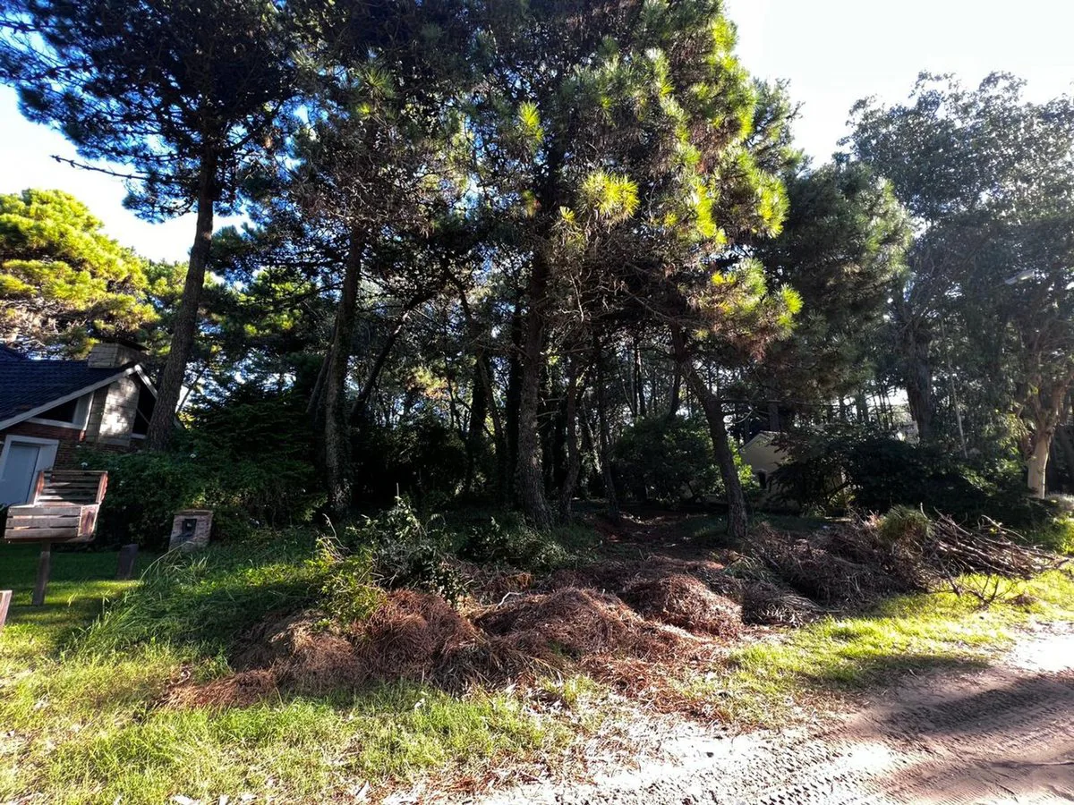 Venta de Lote en el norte de Pinamar foto 3