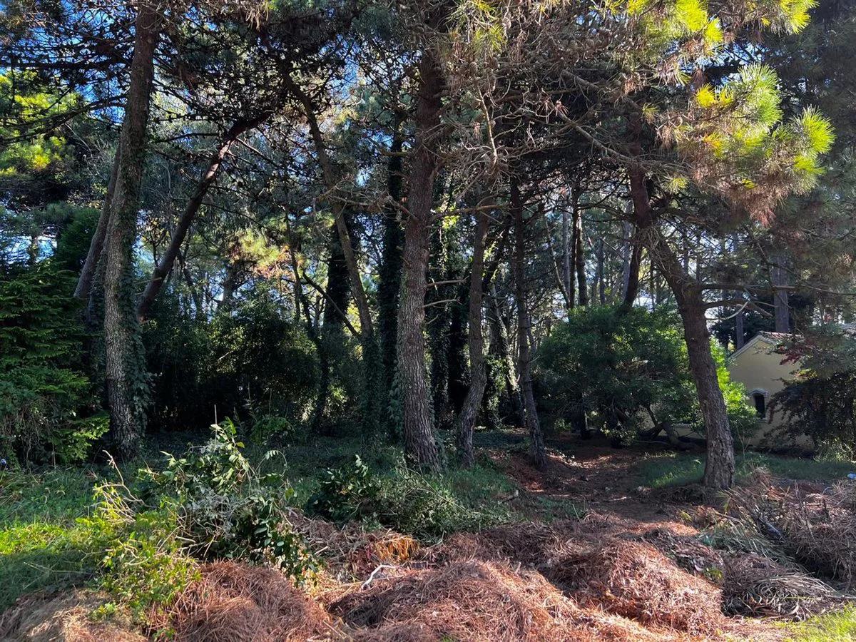 Venta de Lote en el norte de Pinamar foto 4