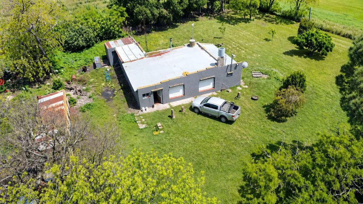VENTA 6 HECTAREAS PARTIDO LOBERIA CON CASA 3 AMB foto 4