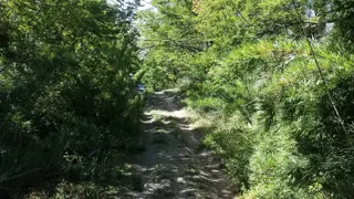 Terreno en Venta en Lago Hermoso, Lacar, Neuquén foto 2