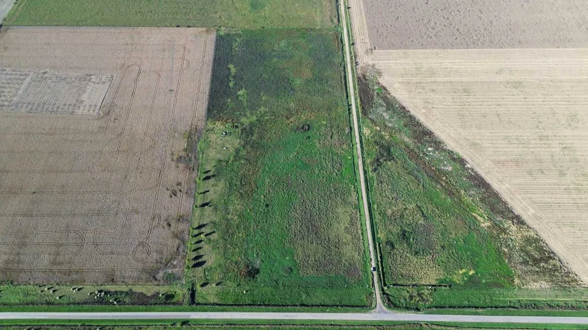 EN VENTA CAMPO 11,5 HECTAREAS 100% AGRICOLA foto 3