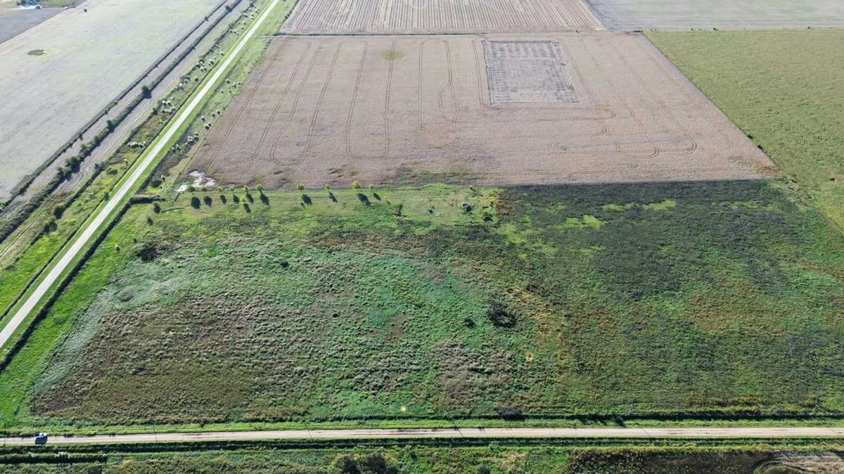 EN VENTA CAMPO 11,5 HECTAREAS 100% AGRICOLA foto 4