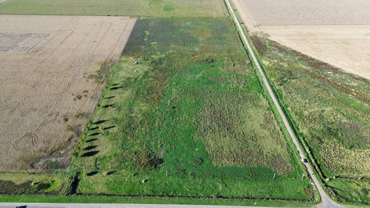 EN VENTA CAMPO 11,5 HECTAREAS 100% AGRICOLA foto 5