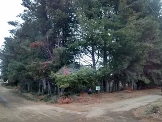Excelente y amplio lote plano a 200mts del Lago -Dina Huapi- foto 1