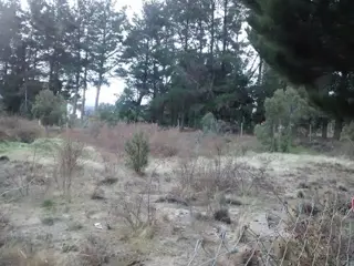 Excelente y amplio lote plano a 200mts del Lago -Dina Huapi- foto 5