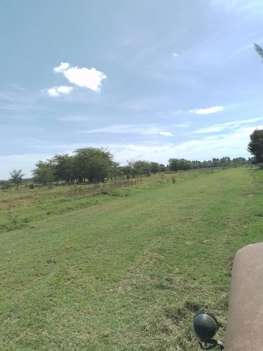 LOTE Chacras de Don Luis Mercedes foto 4