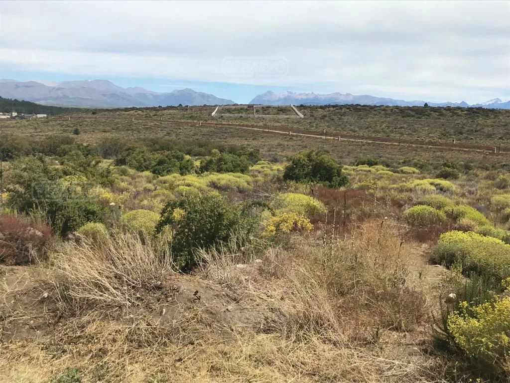 Barrancas de Dina Huapi