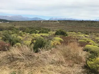 Barrancas de Dina Huapi foto 1