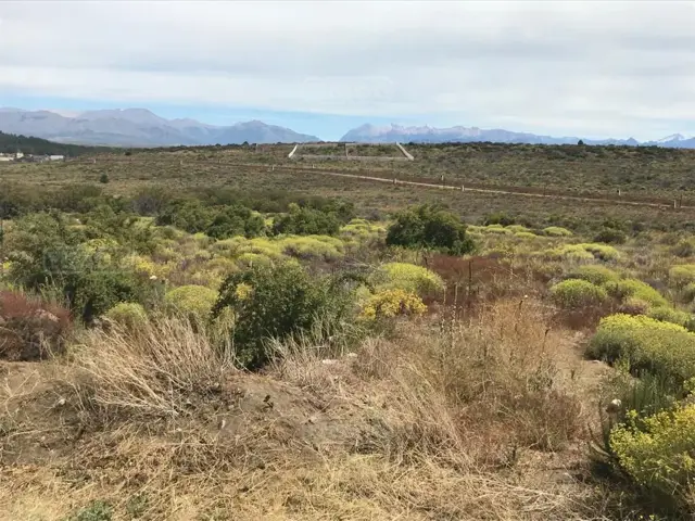 Barrancas de Dina Huapi
